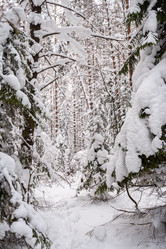 Similar image 21210027