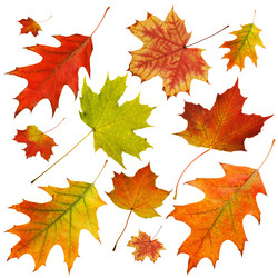 Similar image 21209683