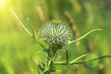 Similar image 21206023