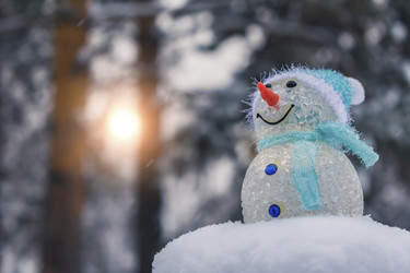 Similar image 21206029