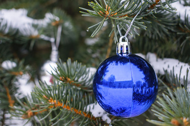 Similar image 21206044