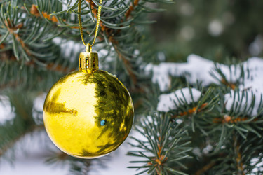 Similar image 21206045