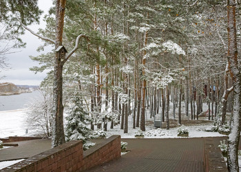 Similar image 21208825