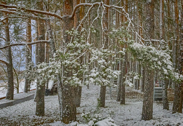 Similar image 21208847