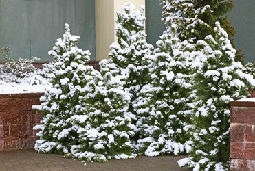 Similar image 21208859