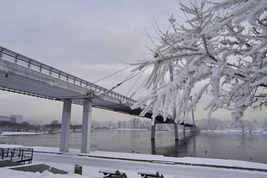 Similar image 21206156