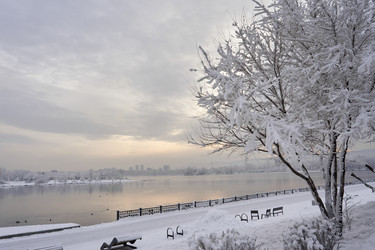 Similar image 21206159