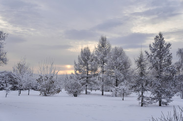 Similar image 21206160