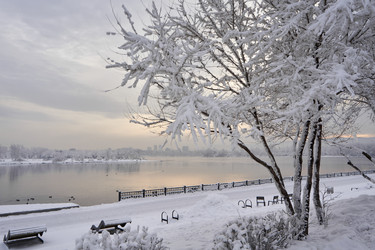 Similar image 21206175