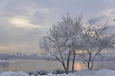 Similar image 21206176