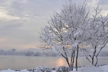 Similar image 21206178