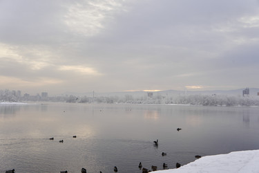 Similar image 21206179