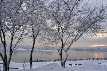 Similar image 21206180