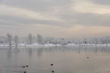 Similar image 21206182