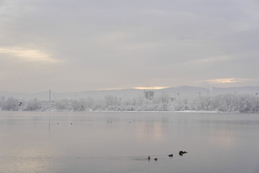 Similar image 21206185