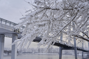 Similar image 21206187