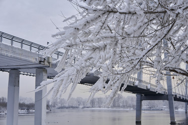 Similar image 21206188