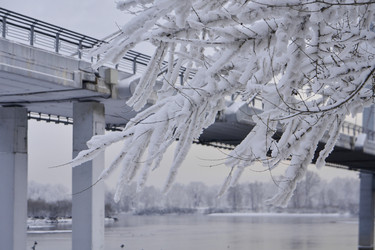 Similar image 21206191