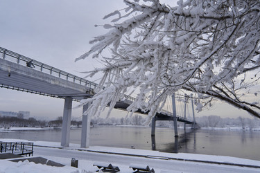 Similar image 21206192