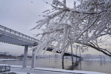 Similar image 21206197