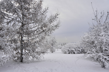 Similar image 21206199