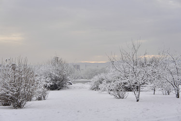 Similar image 21227902