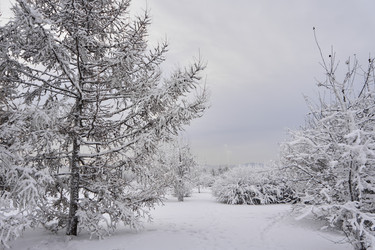 Similar image 21206202