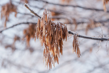 Similar image 21217253