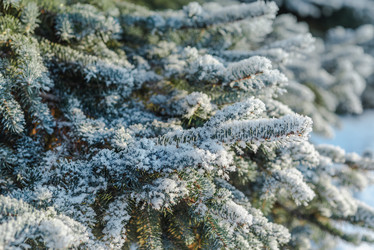 Similar image 21208642