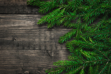 Similar image 21208645