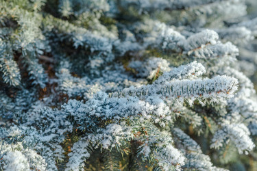 Similar image 21227908