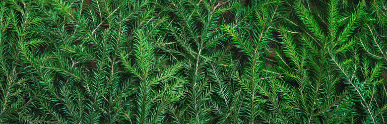 Similar image 21227909