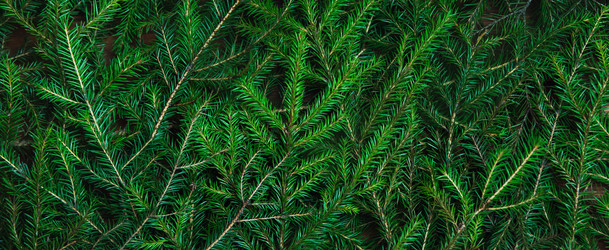 Similar image 21208647