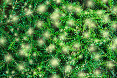 Similar image 21217263