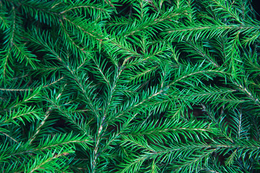 Similar image 21227910