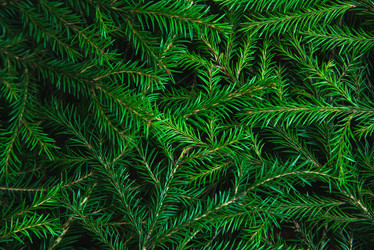 Similar image 21217265