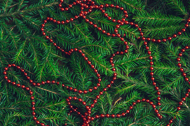 Similar image 21208648