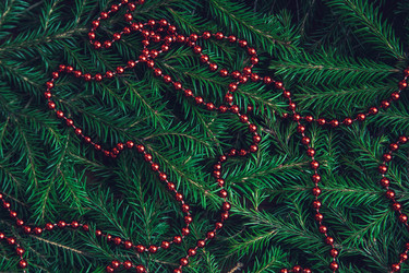 Similar image 21227911