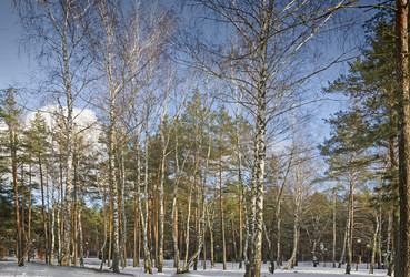 Similar image 21208862