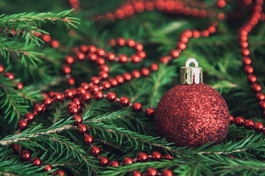 Similar image 21217267