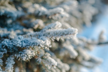 Similar image 21217273