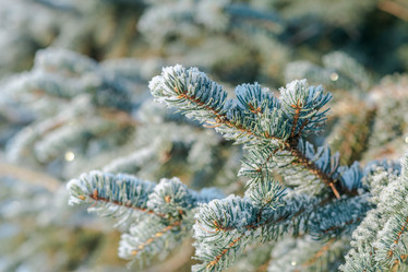 Similar image 21217274