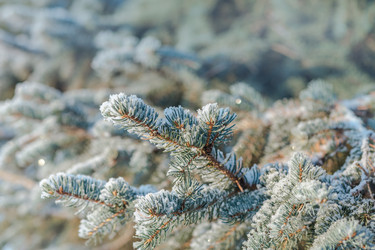 Similar image 21230788