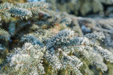 Similar image 21230789