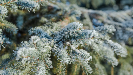 Similar image 21227920