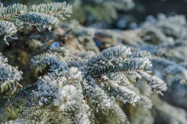 Similar image 21217275