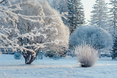 Similar image 21217276