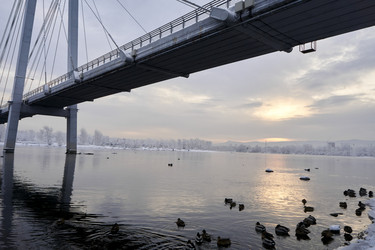 Similar image 21206137