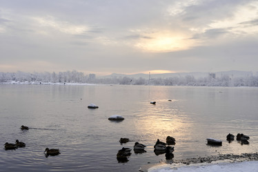 Similar image 21206139