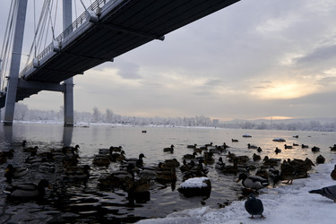 Similar image 21206140